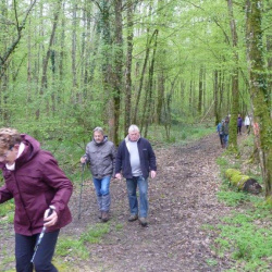 2023-04-16 Attancourt Forêt Marnesse